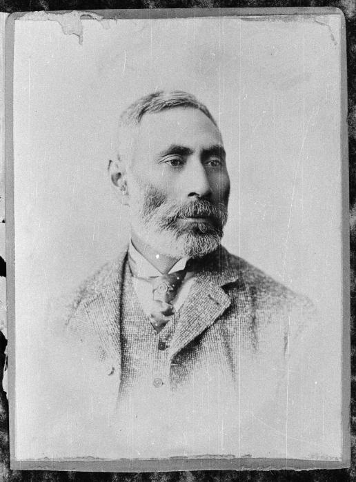 Hori Kerei Taiaroa
