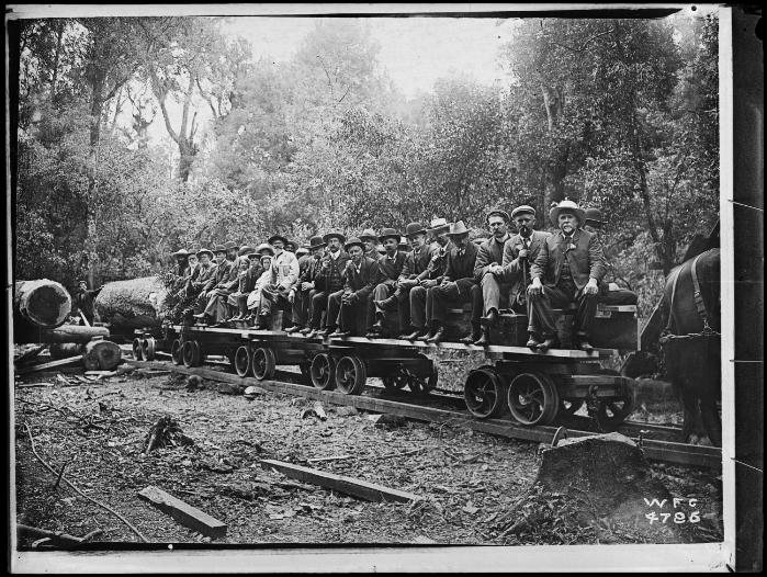 MP James Carroll and party on bush railway at Waipaoa, Gisborne