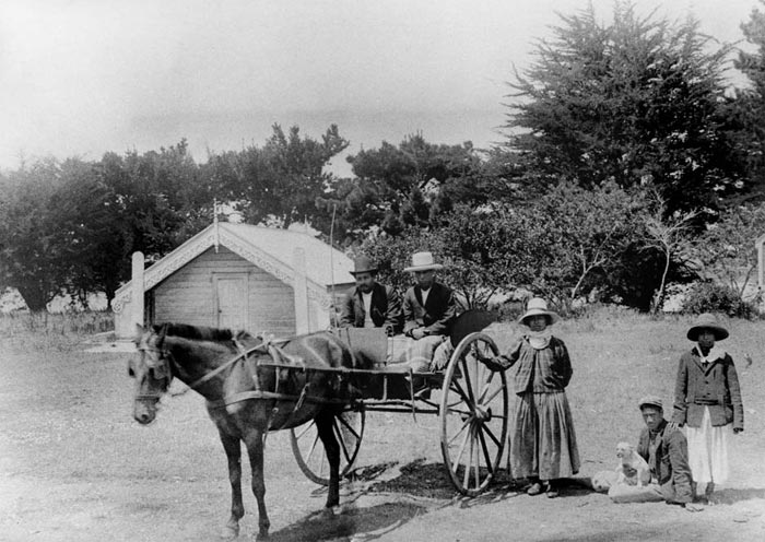 The Wilson Family Group