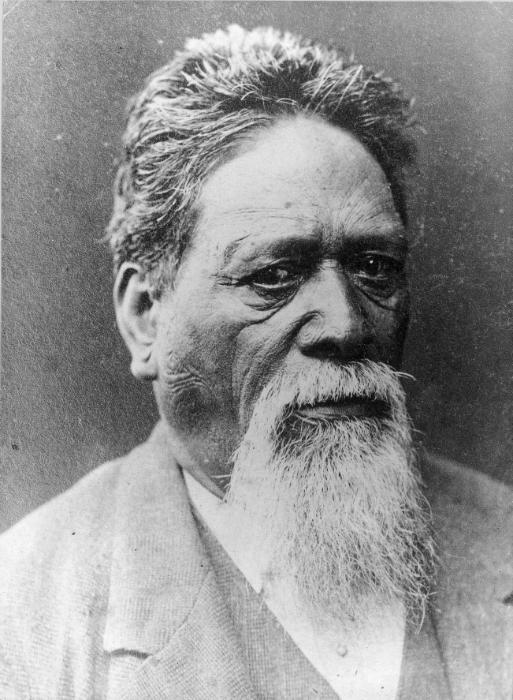 Wiremu Tako Ngatata