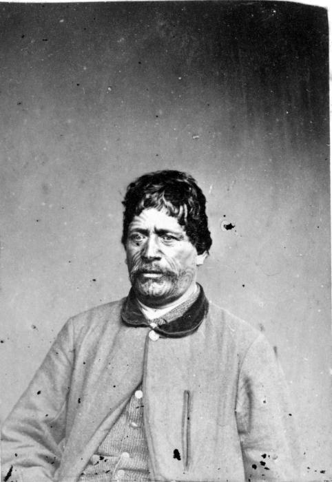 Wiremu Tako Ngatata