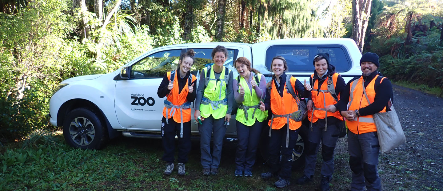 Controlling Pests a Win for New Zealand's Wildlife