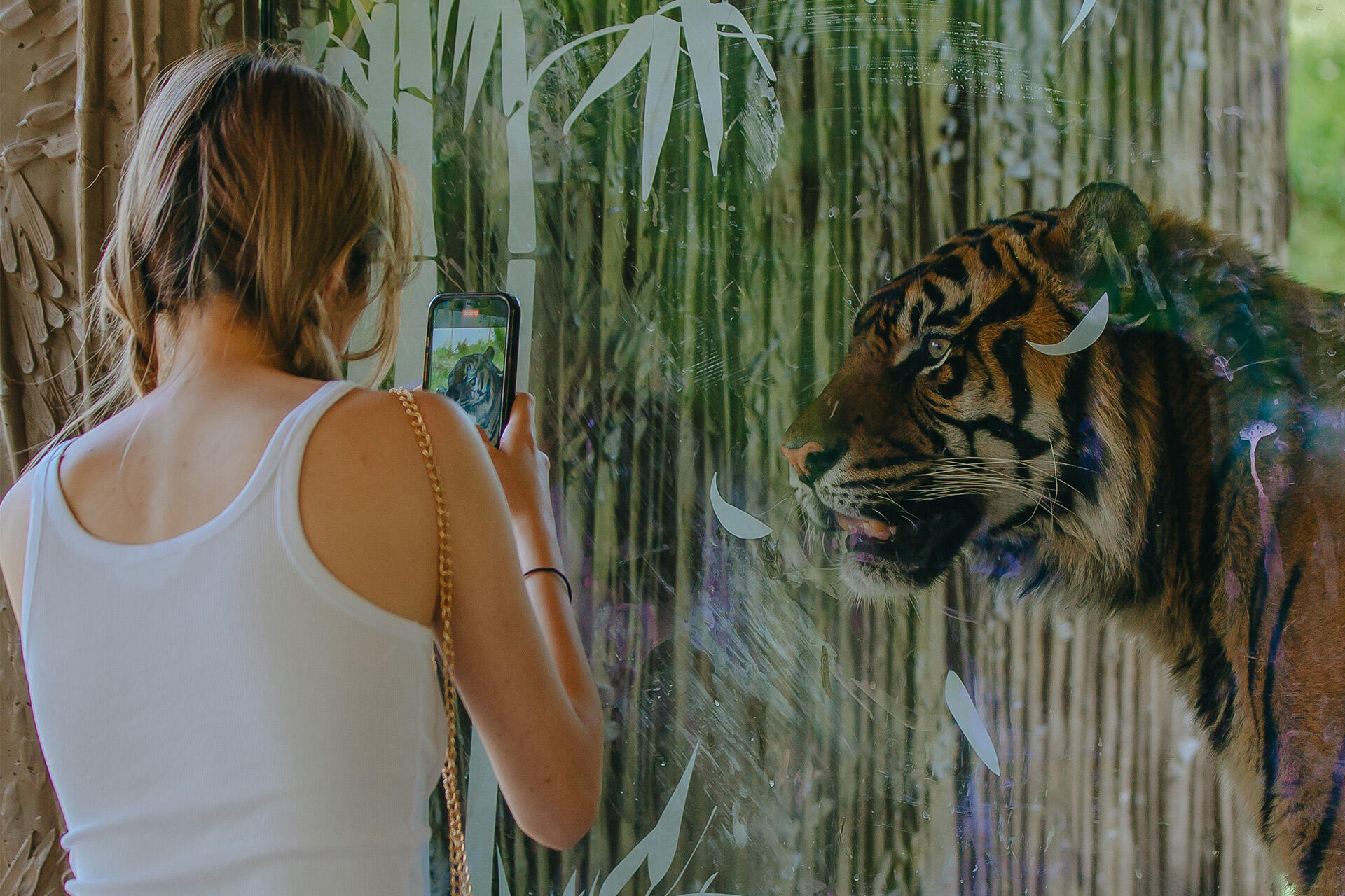 Zoo invites submissions for summer art trail
