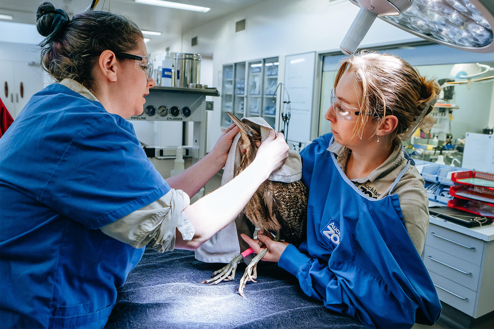Rare wetlands patient makes remarkable recovery
