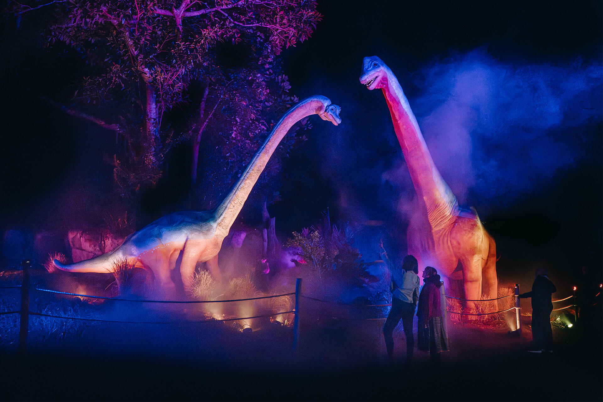 Zoo’s Dinosaur Nights & Lights returns!