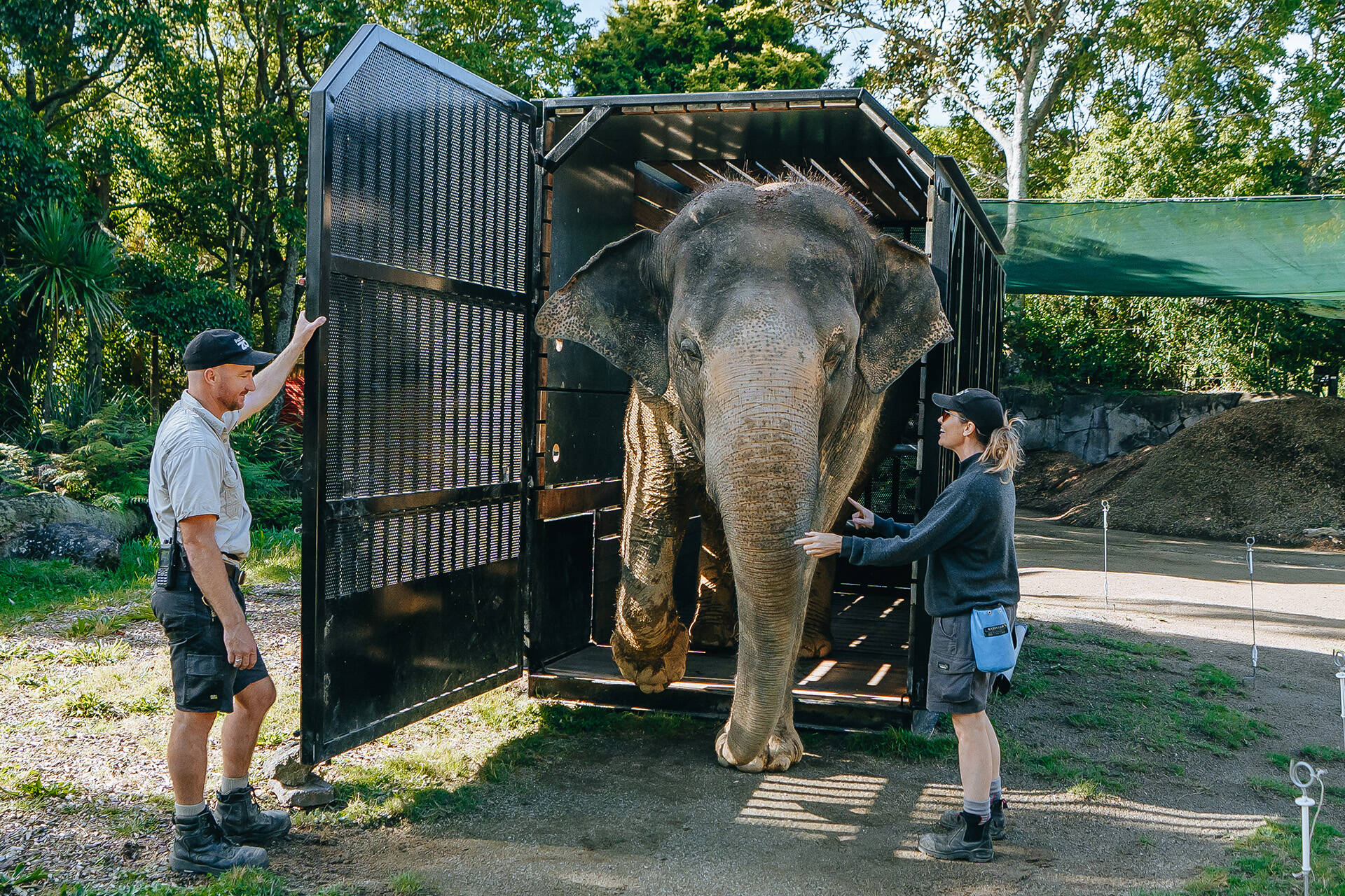 Burma’s transport crate sessions a fun, enriching activity