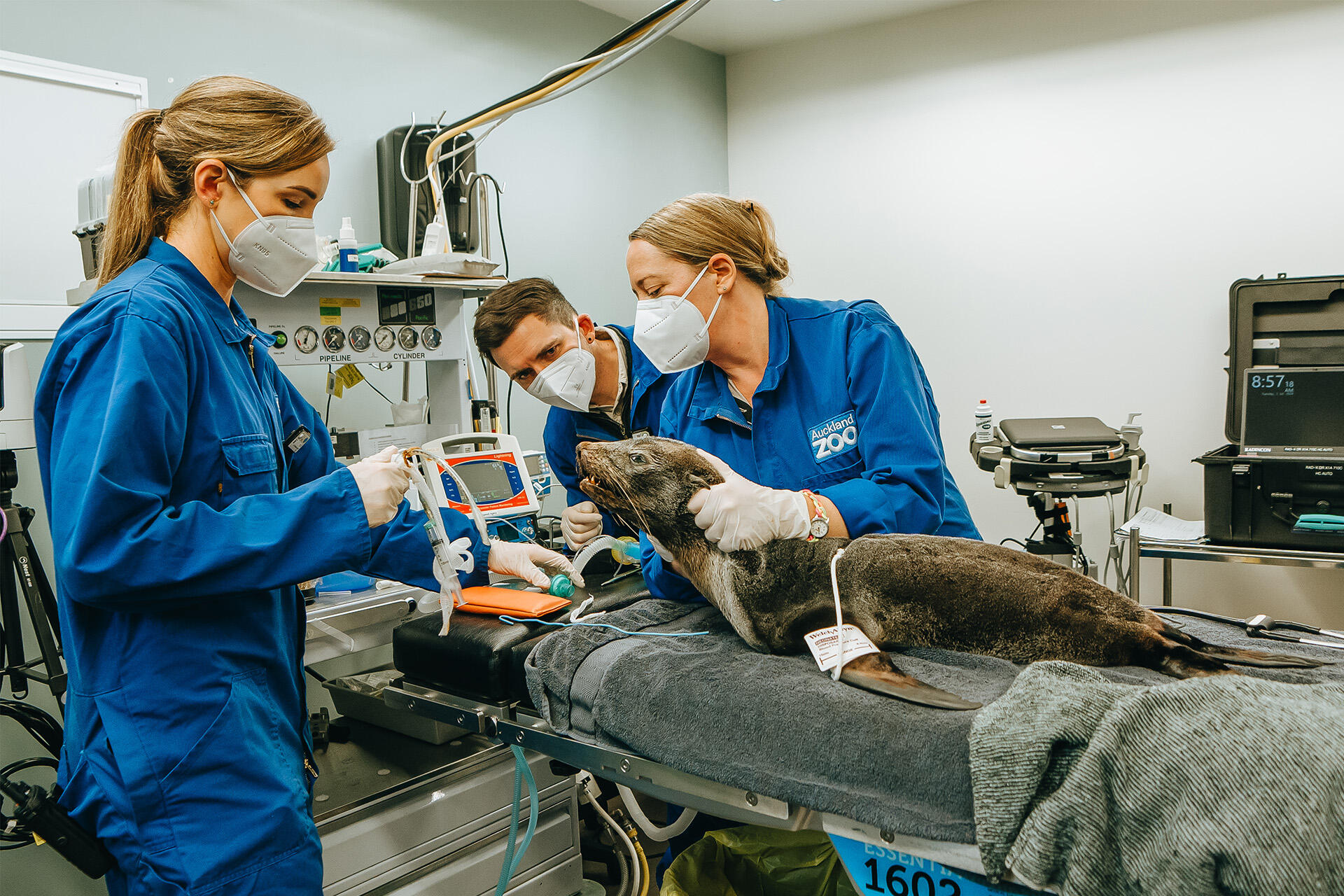 Veterinary Nurse Awareness Week 2025