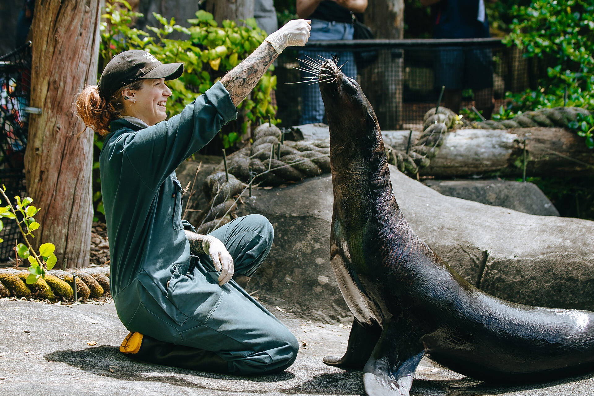 Keeper Emma shares her love for fur seal Orua