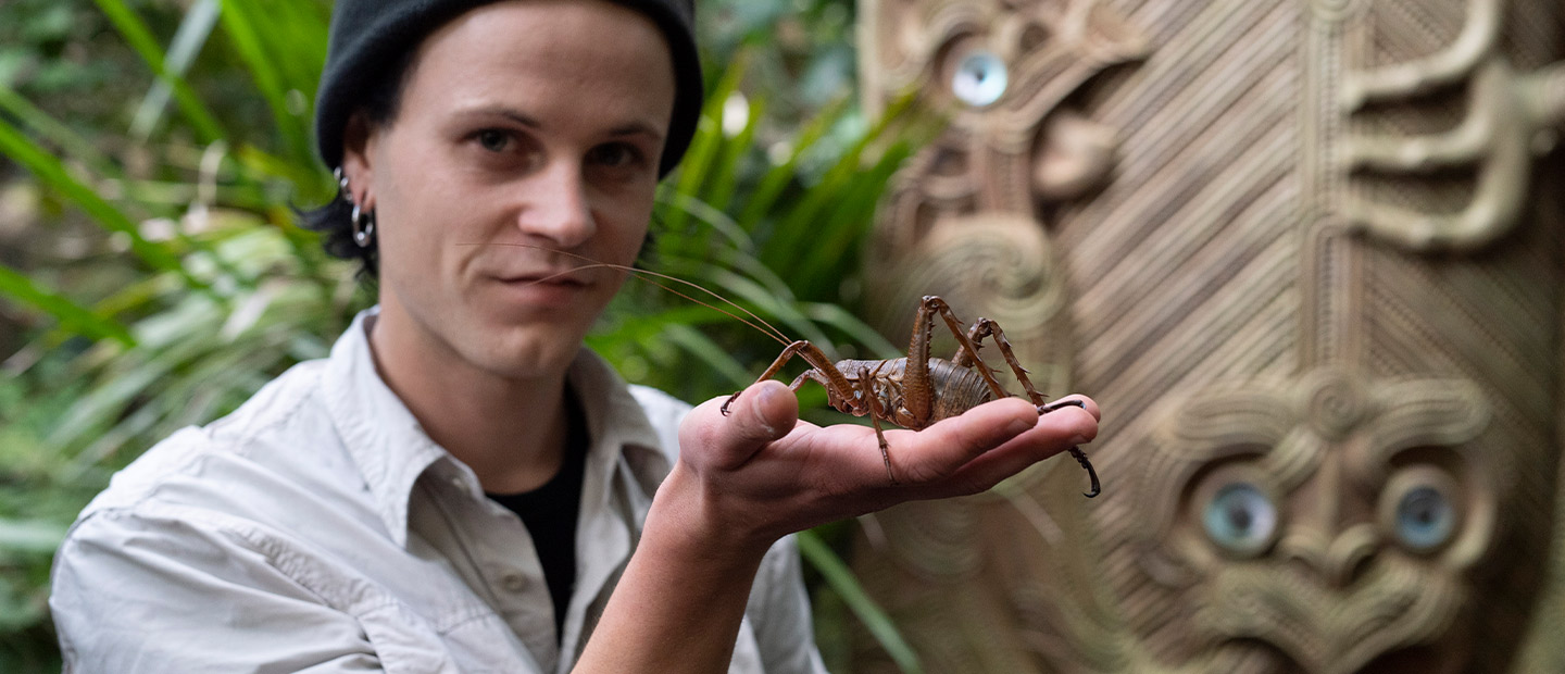 A champion for the conservation of cryptic taonga