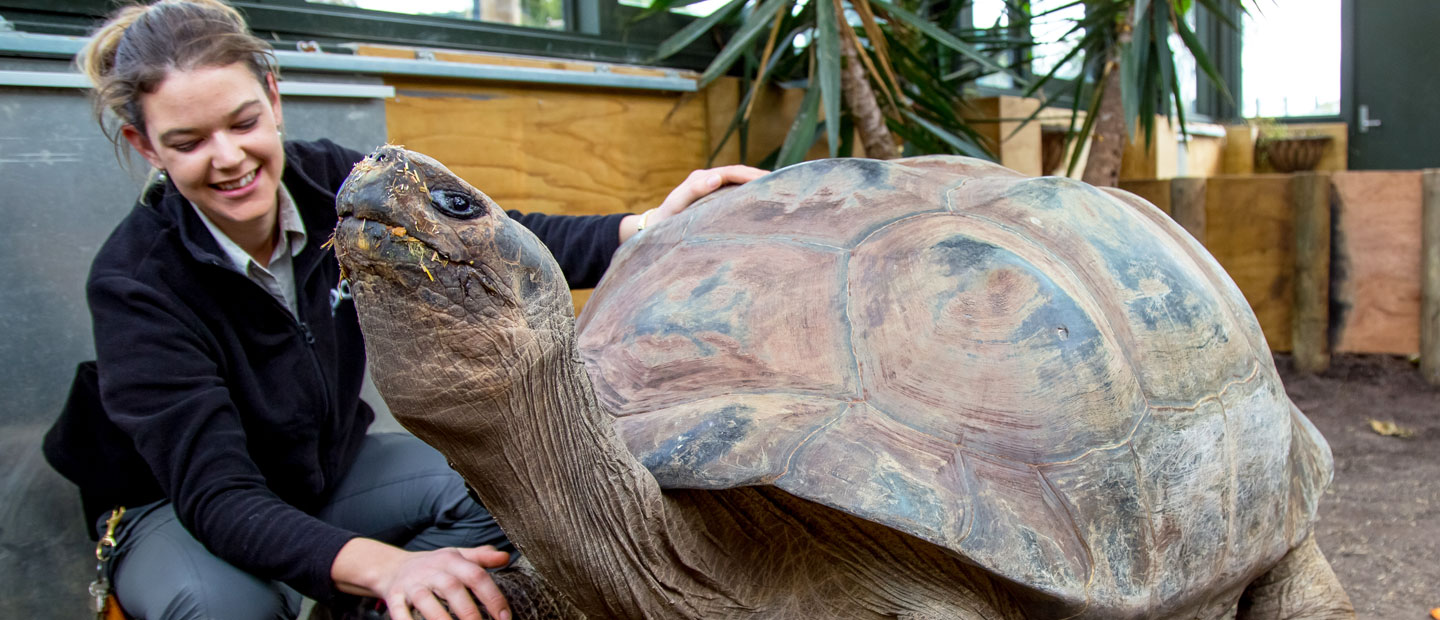 ‘Nursing’ a Conservation Dream