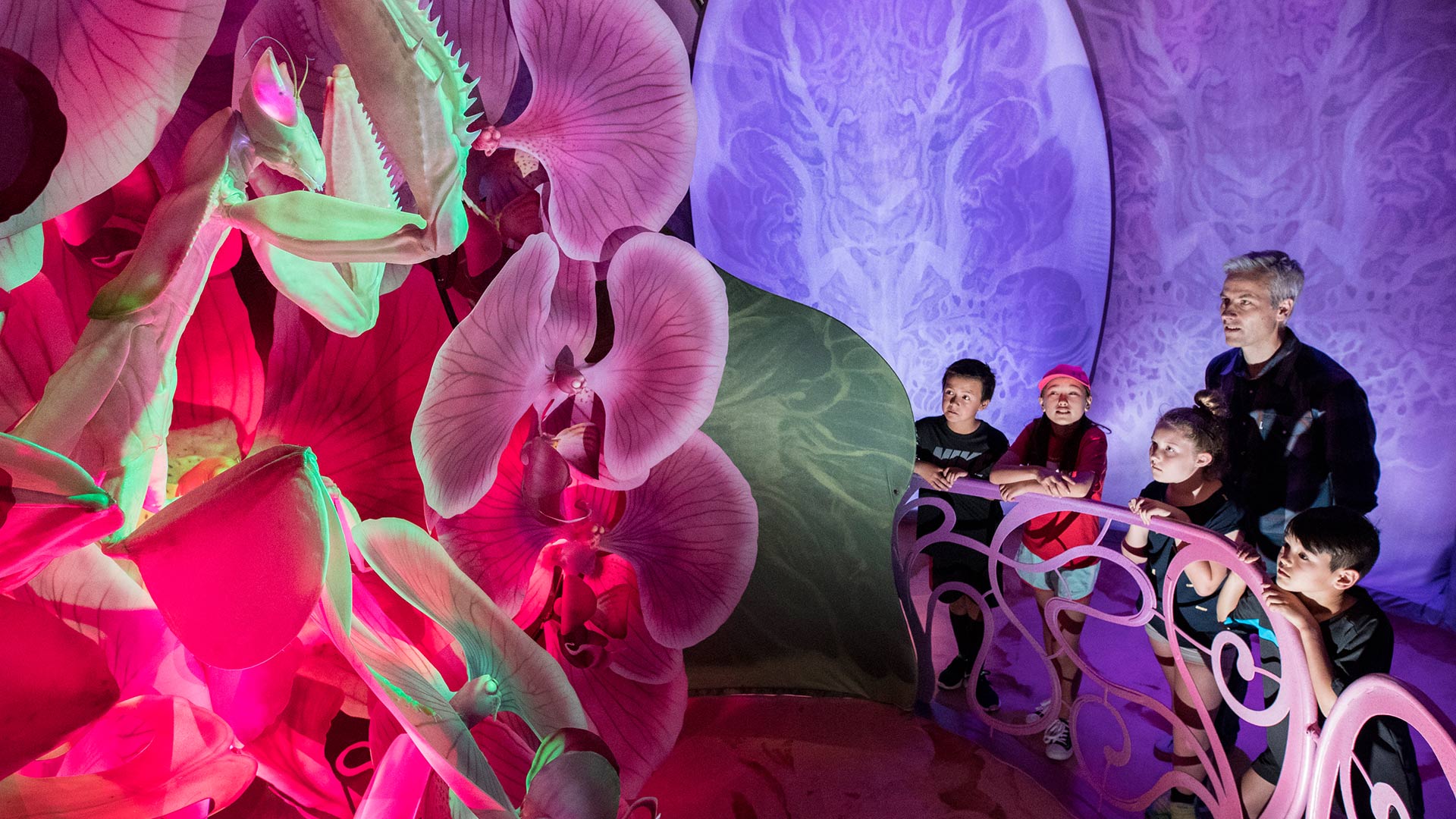 Zoo brings Aucklanders Bug Lab for Christmas