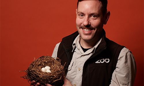 We catch up with bird keeper Carl and our flock of flamingos!