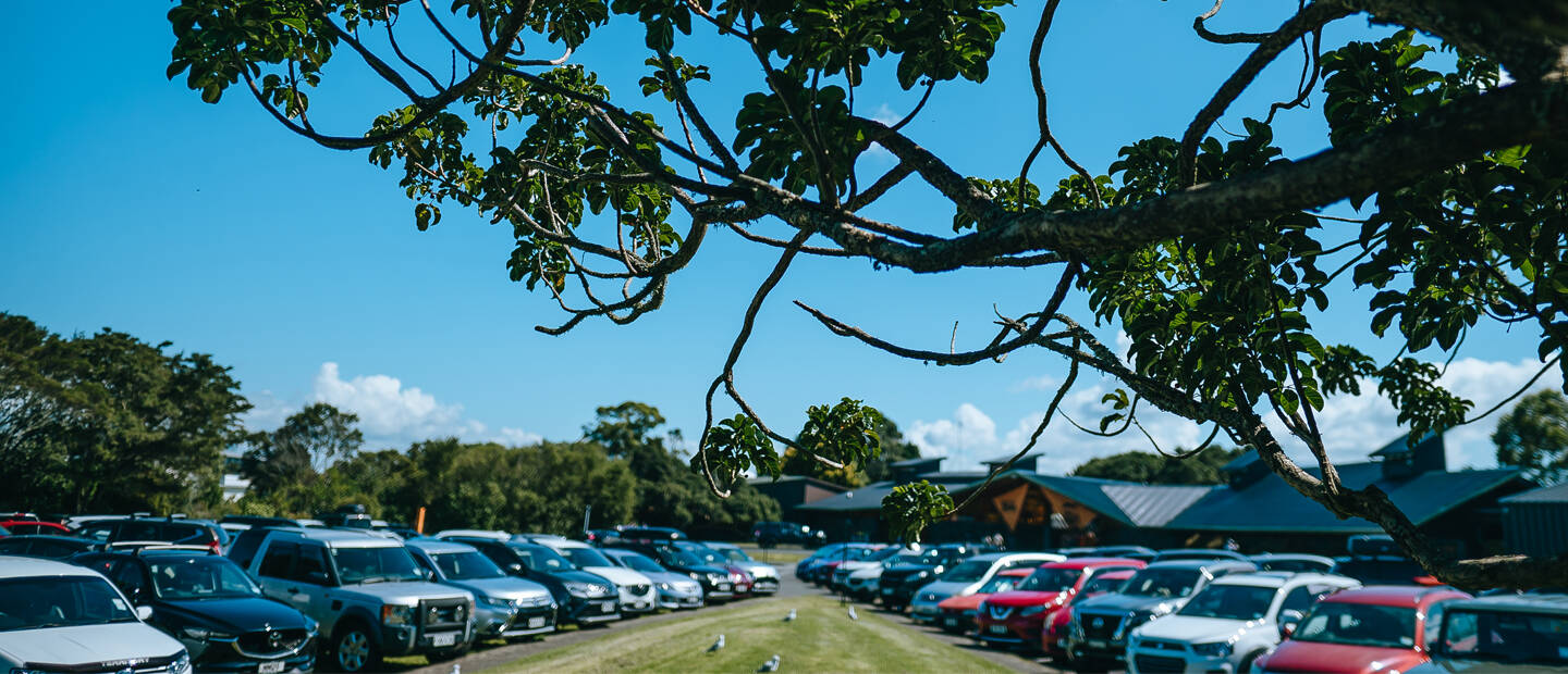 Paid parking introduced as part of the Western Springs Accessibility project