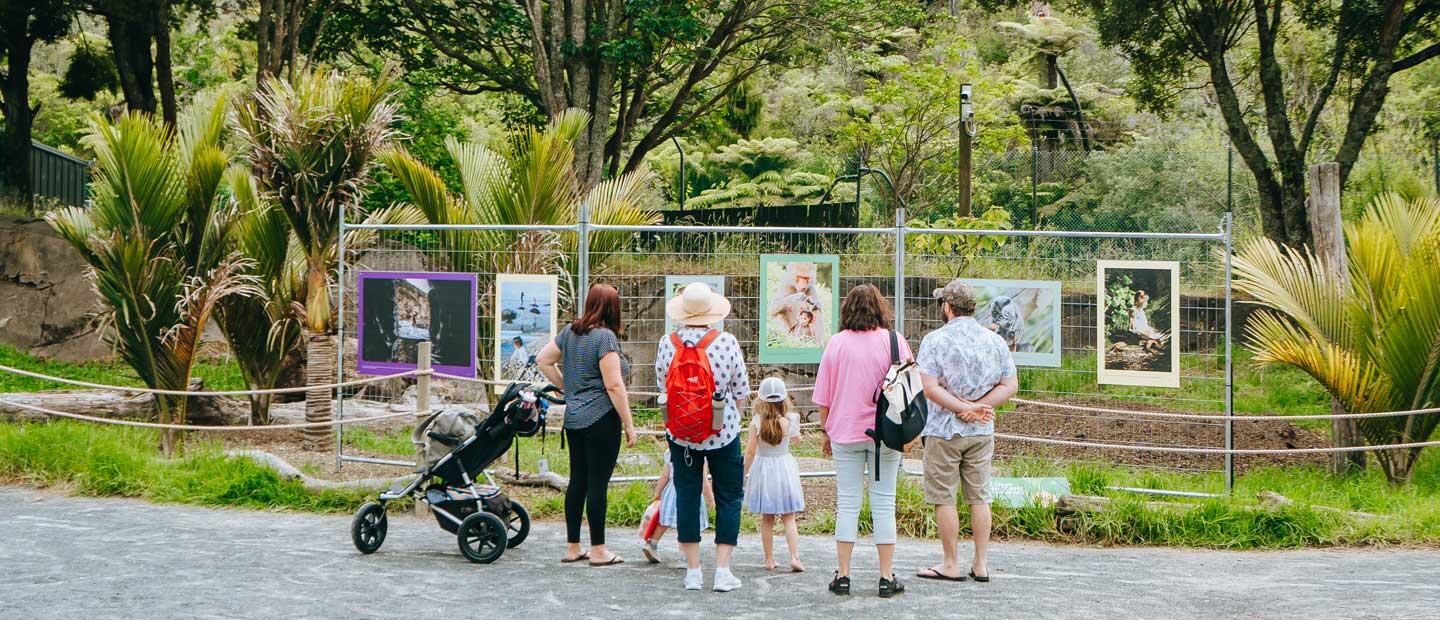 Zoo’s summer art trail celebrates connecting in nature