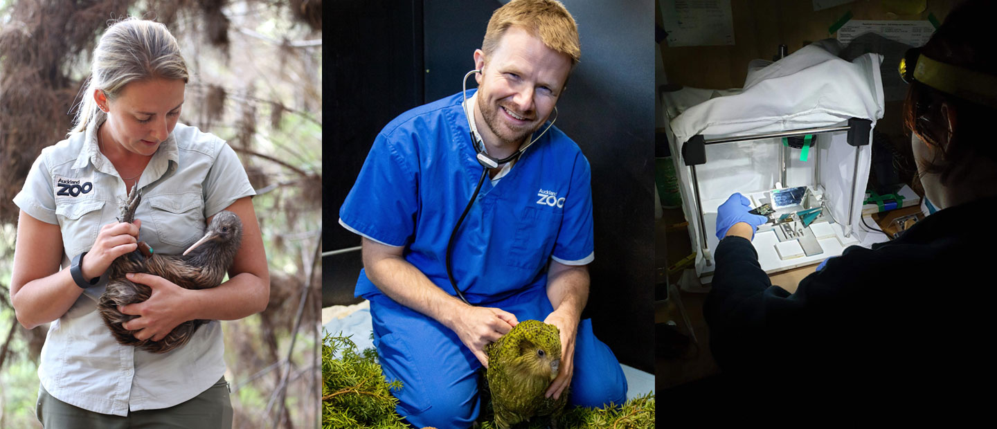 Back from the Brink – 11 Inspirational Stories where Conservation is Key!