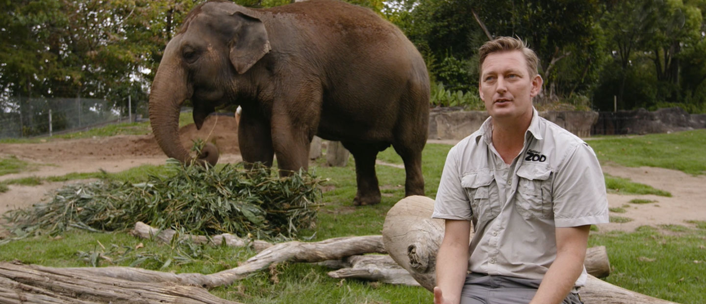 Andrew discusses Burma and Anjalee's move to new homes