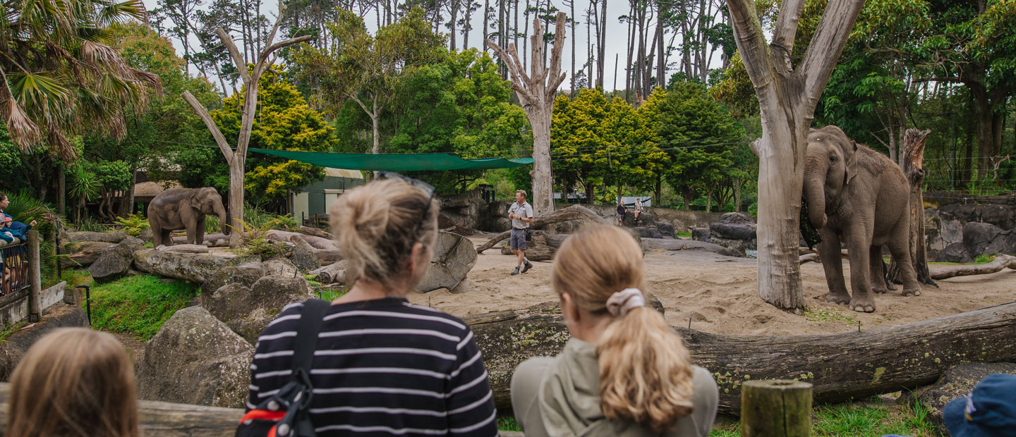 Anjalee and Burma will soon move to their new zoo homes in Australia