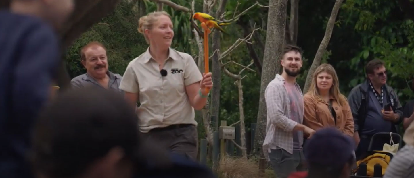 Flight school - connecting people to wildlife