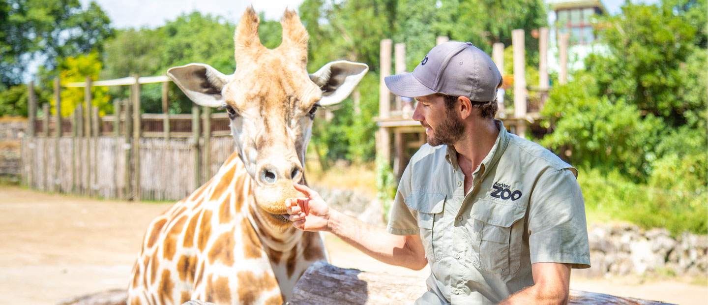 Going to Long Lengths for our Giraffe Whānau