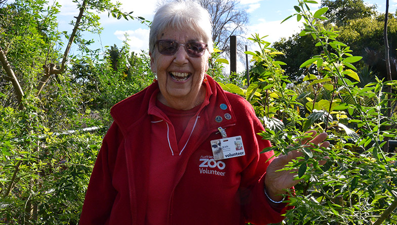Volunteers' incredible contribution