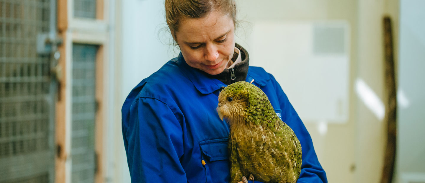 Kākāpō patient Vori returns home!