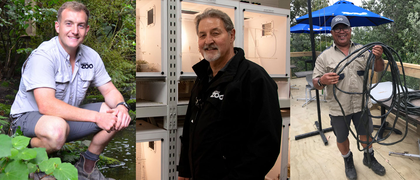 Kaitiaki of the Zoo - 9 stories about the staff that keep our Zoo in tip top shape!