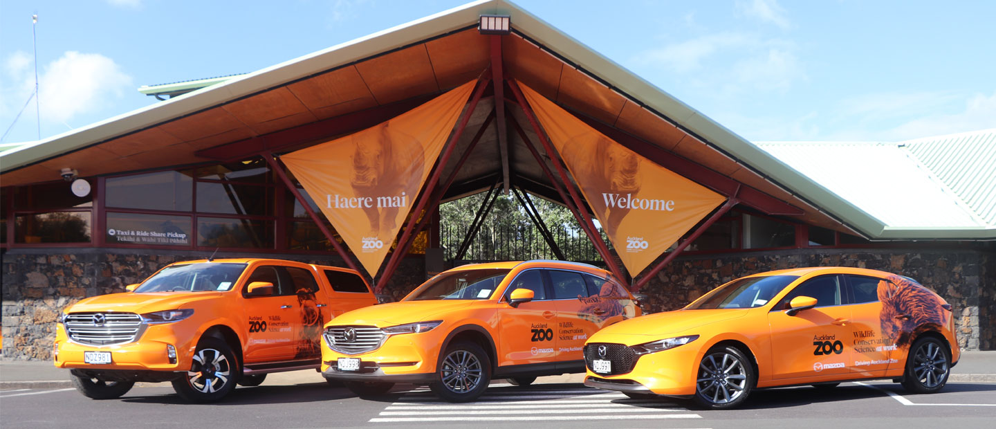 Mazda NZ and Auckland Zoo ask Aotearoa youth to ‘Take Action for Taiao - the natural environment’
