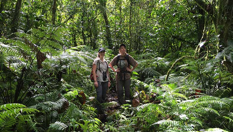 Auckland Zoo offers funding support to South Pacific projects