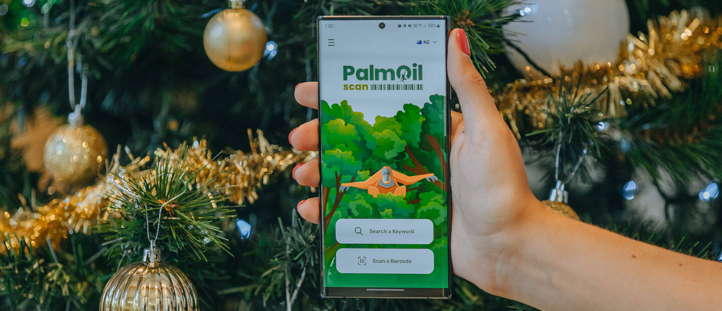 Shop with PalmOil Scan this Christmas and help wildlife!