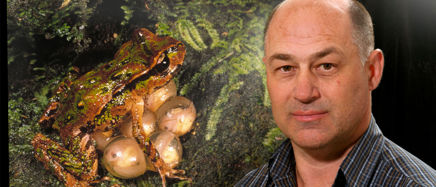 Zoo announces grants in honour of champion of amphibian conservation  