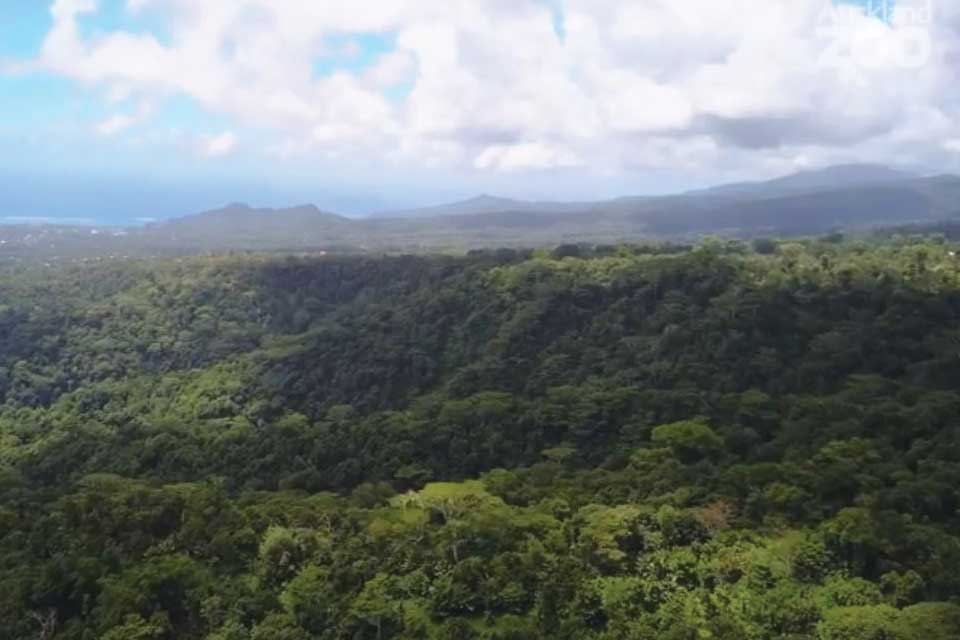 Episode One: Helping Samoa's wildlife