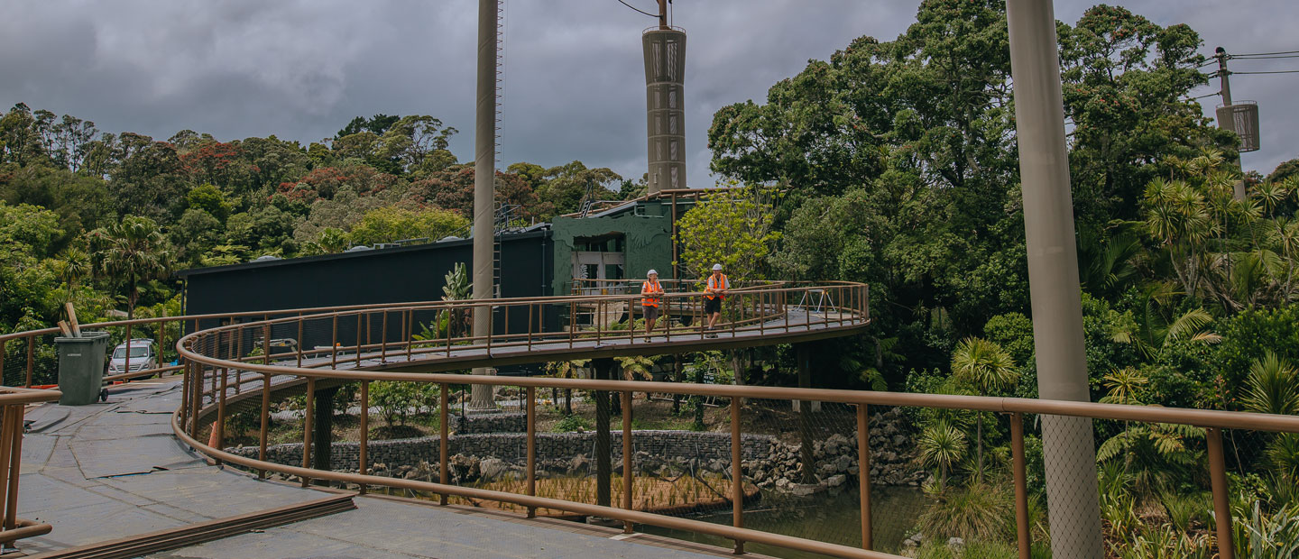 Boardwalk opens so you can explore more of our new Jungle Track! 