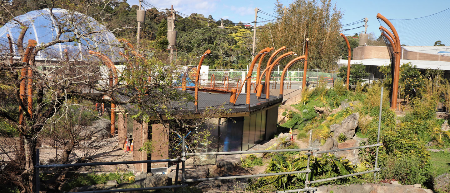 Look forward to exploring more of our new Jungle Track this summer!