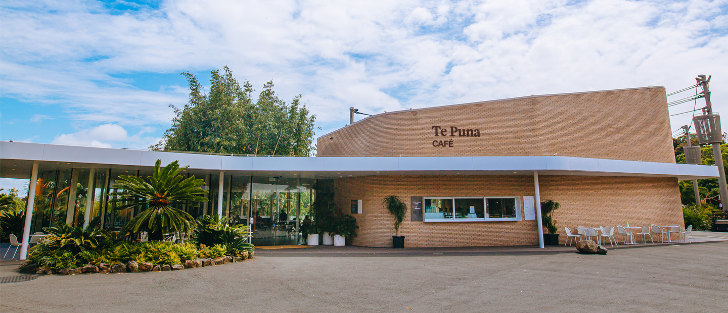 Te Puna café wins NZ architecture award