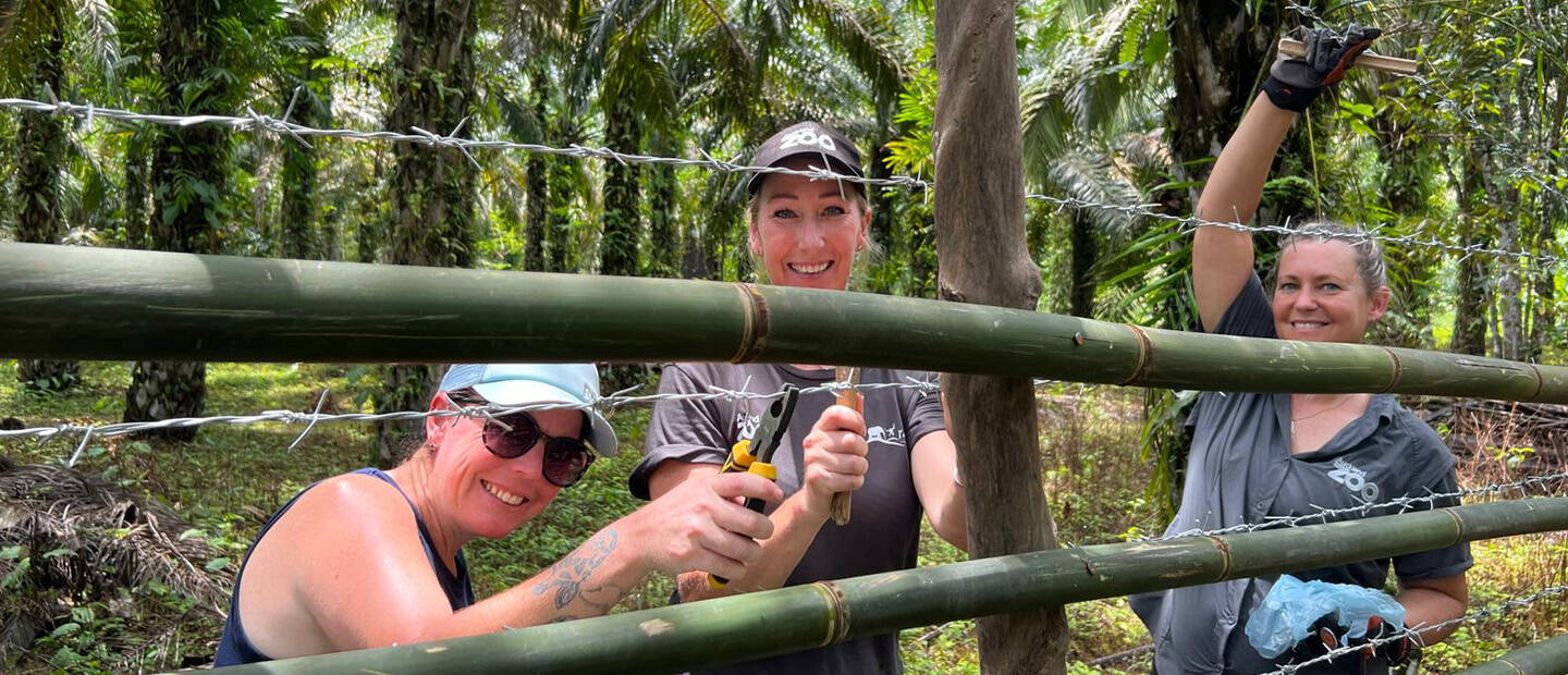 Protecting livestock and livelihoods in Sumatra