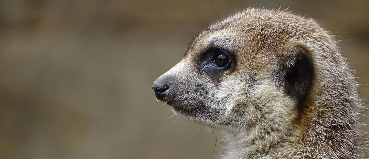 From winemaker to zookeeper, Toby is living the dream