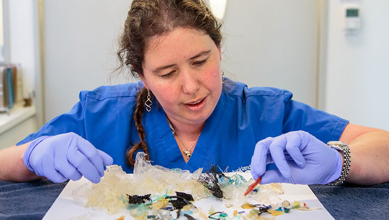 Zoo vet's plastic plea to save sea turtles