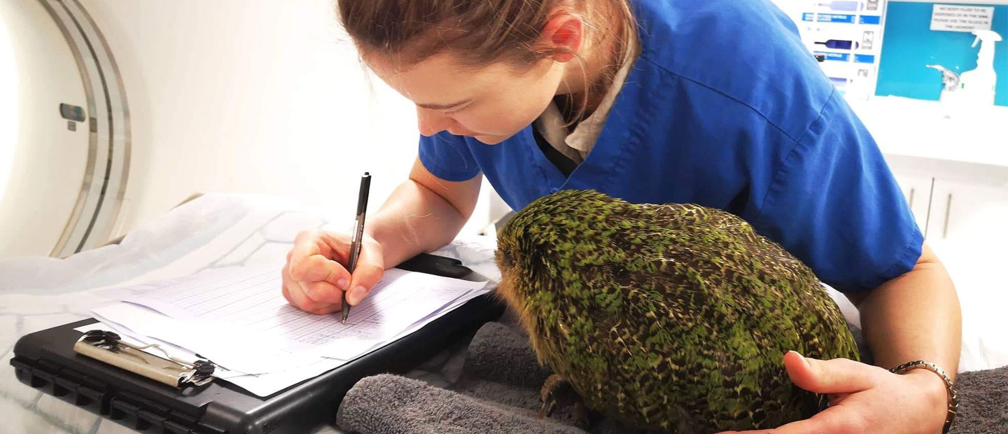 Join us in celebrating our vet nurses!
