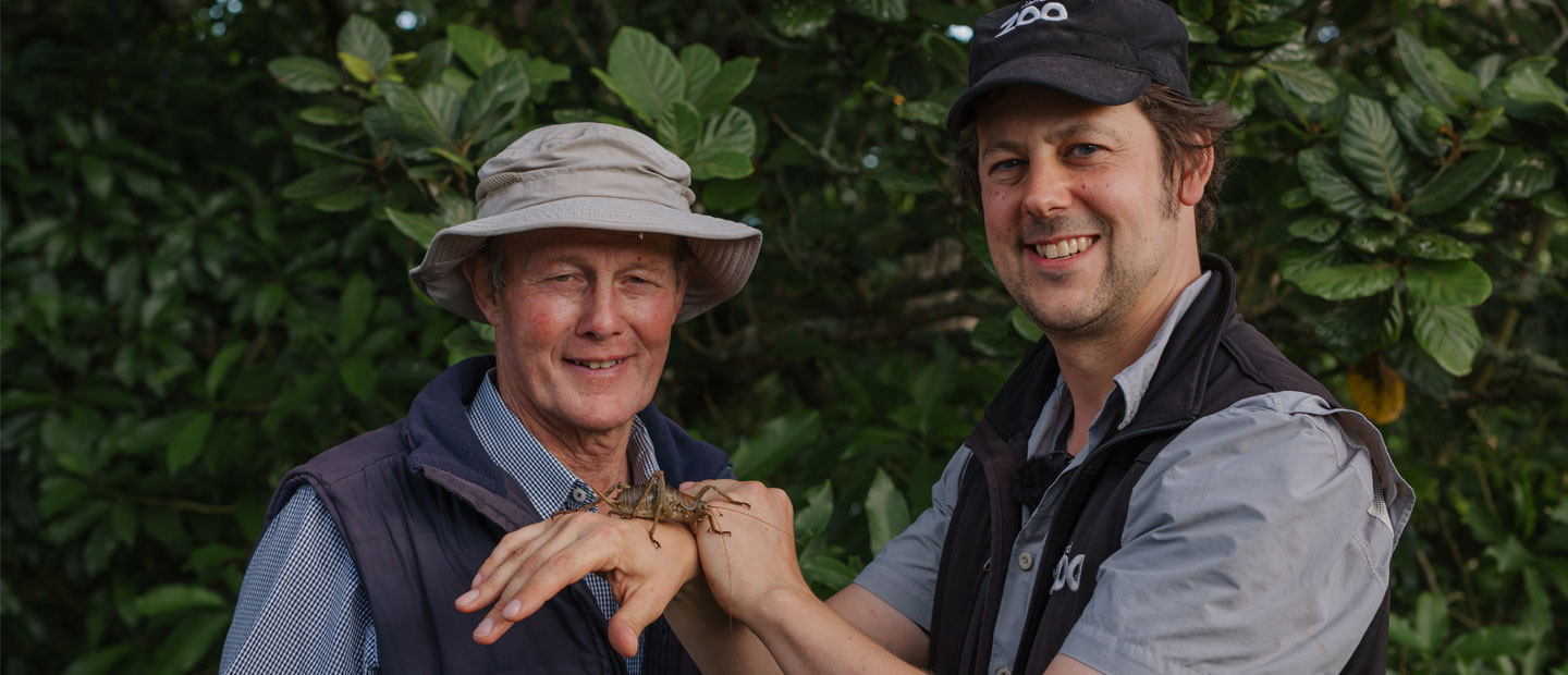 Auckland Zoo and Motuihe Trust team up to help rare forest giant