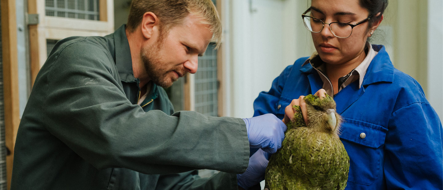 World Veterinary Day - celebrating our incredible vet team and their mahi for wildlife