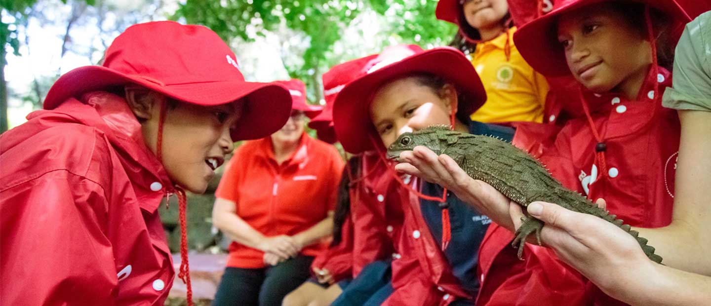 Nationwide campaign to give more Kiwi kids free zoo visits
